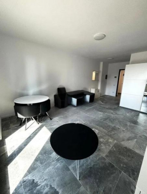 Toronto Nest Timișoara
